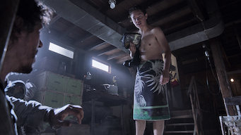 Shameless (U.S.): Season 8: The (Mis)Education of Liam Fergus Beircheart Gallagher